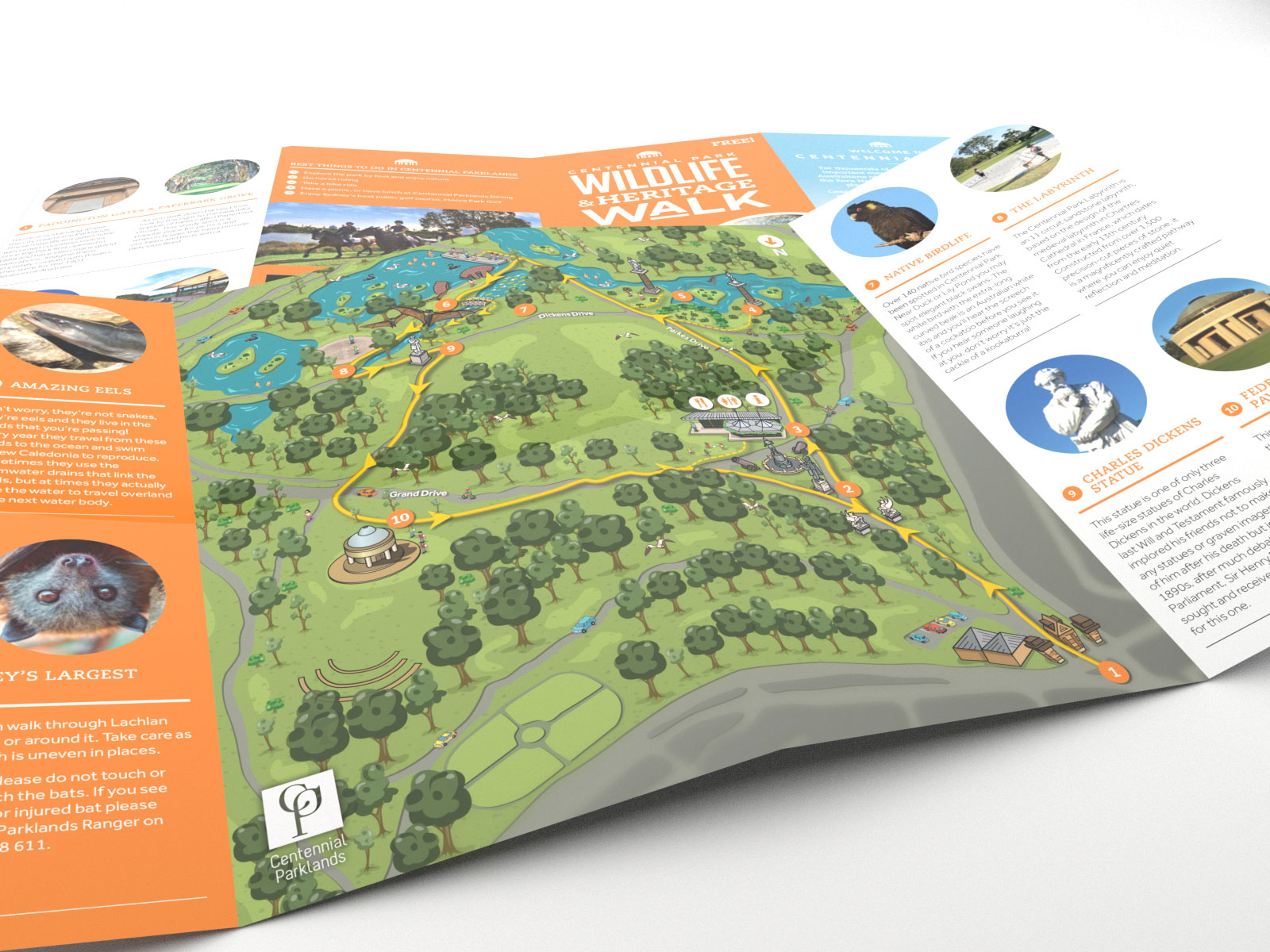 Interesting cartoon style birds eye view walking trail map for brochure